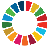 sdg logo